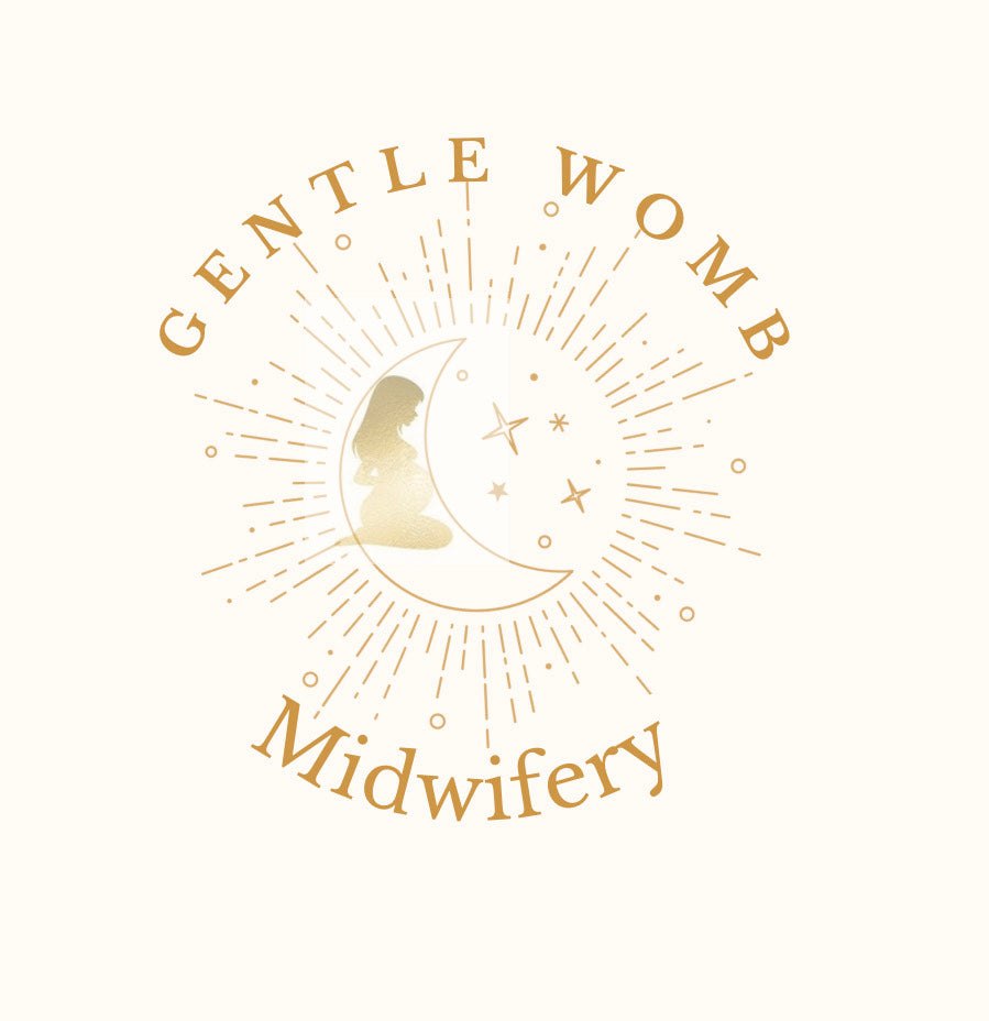Gentle Womb Midwifery Birth Kit - Ana Ruiz LM, CPM
